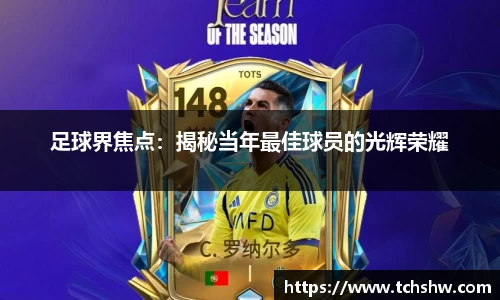 足球界焦点：揭秘当年最佳球员的光辉荣耀